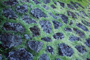 Grass with Pattern Rocks