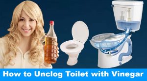 How to Unclog Toilet with Vinegar