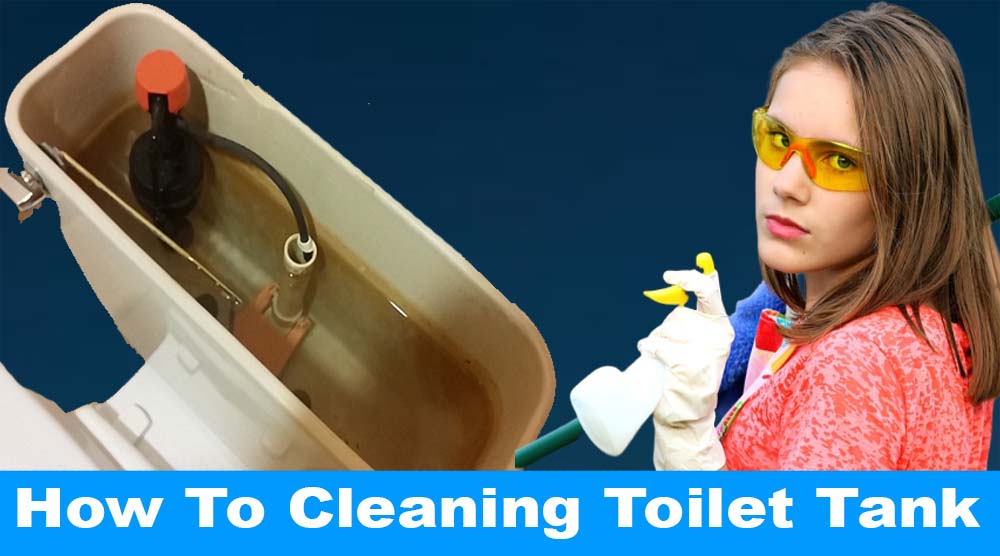 How To Cleaning Toilet Tank
