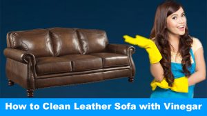 How to Clean Leather Sofa with Vinegar