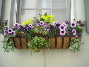 DIY Window Flower Boxes