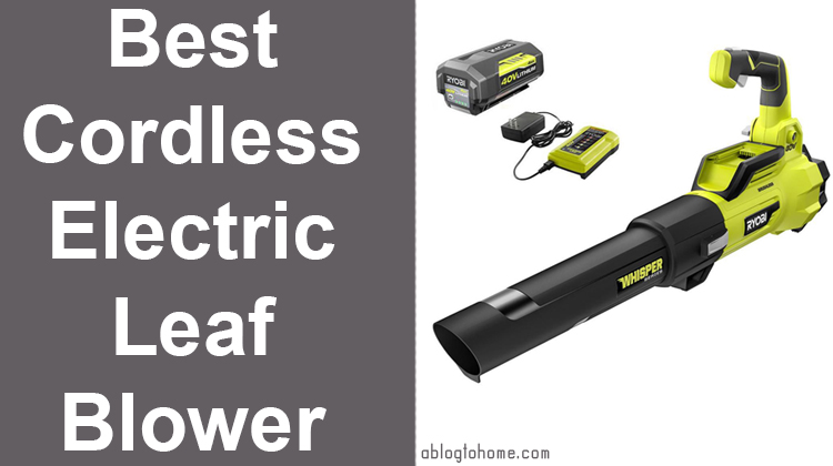 Best Cordless Electric Leaf Blower for 2022